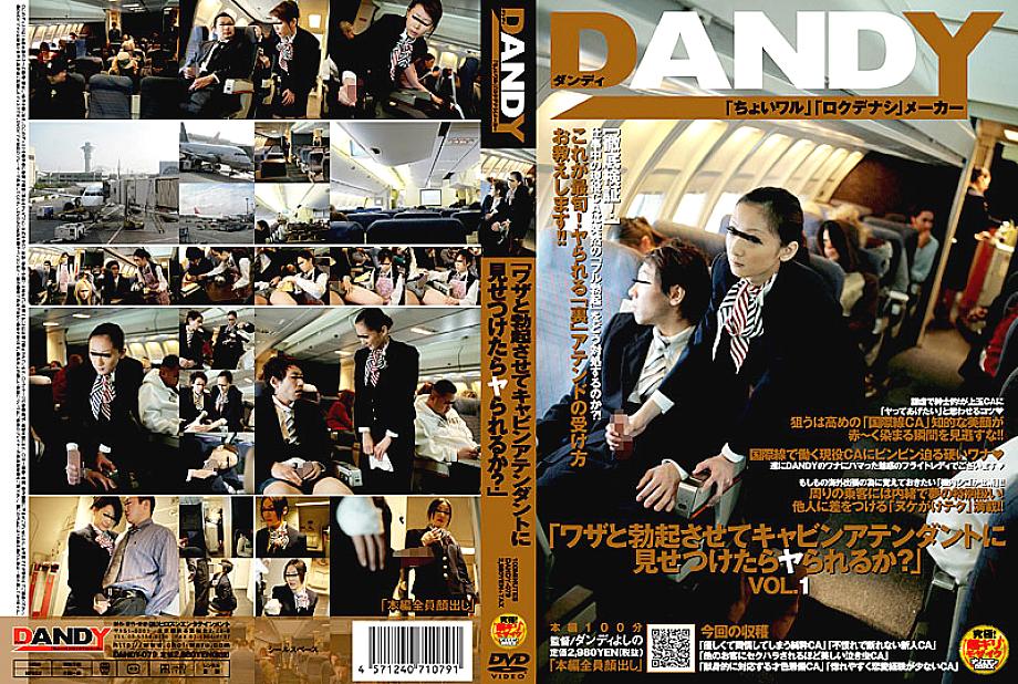 dandy-079