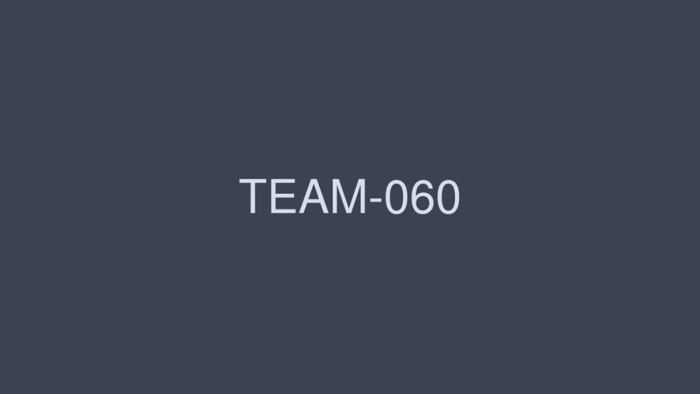 team-060